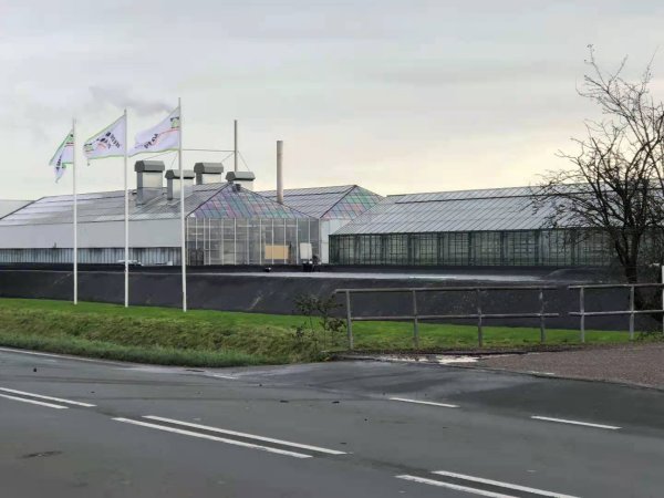 如何规划建设薄膜温室大棚？