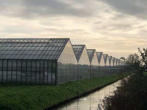 温室大棚为什么选择白色塑料薄膜？