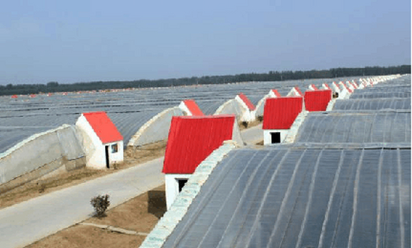 日光温室功能介绍