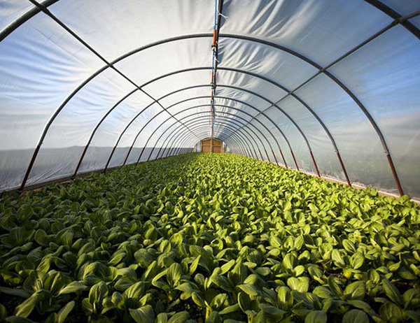 温室大棚骨架缔造重要的三个衡量功用方针：